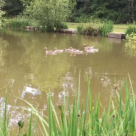 Hollicarrs - Oak Tree אכסניה *