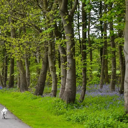 אכסניה Hollicarrs - Oak Tree Riccall