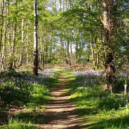 Hollicarrs - Oak Tree אכסניה