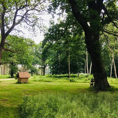Hollicarrs - Oak Tree Alojamento de Turismo Selvagem Riccall