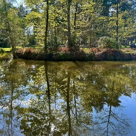 Hollicarrs - Oak Tree * Riccall