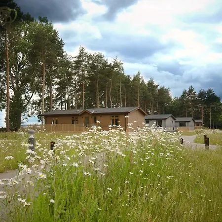 Hollicarrs - Oak Tree