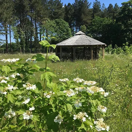 롯지 Hollicarrs - Oak Tree *