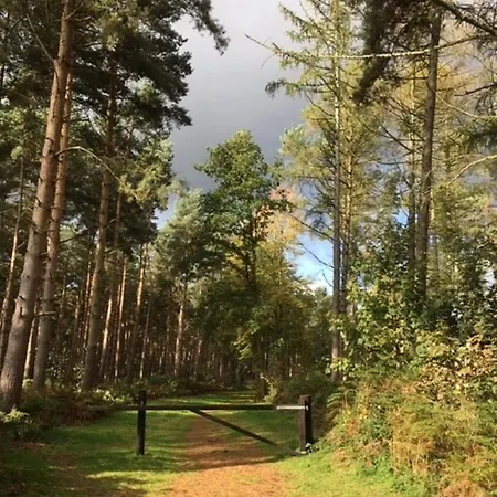 Hollicarrs - Oak Tree 롯지 *