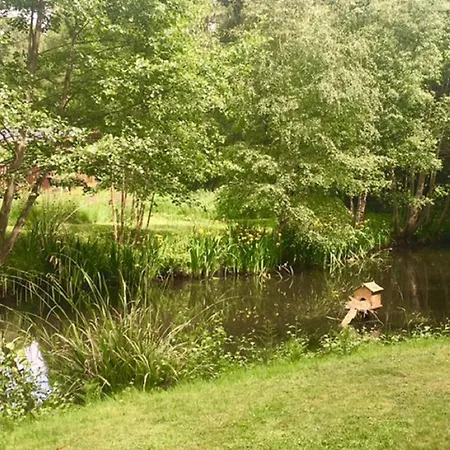 롯지 Hollicarrs - Oak Tree Riccall